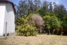 Cedeira 1416&nbsp;m²