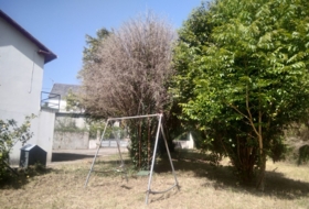 Cedeira 1416&nbsp;m²