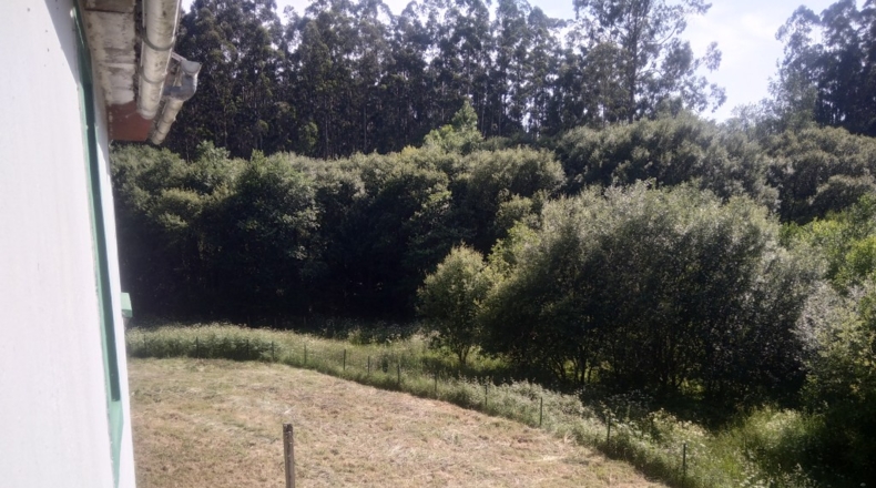 La Corunya - Cedeira - 1416m2