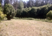 Masía con terreno en venta en Cedeira ref: TR415325 foto