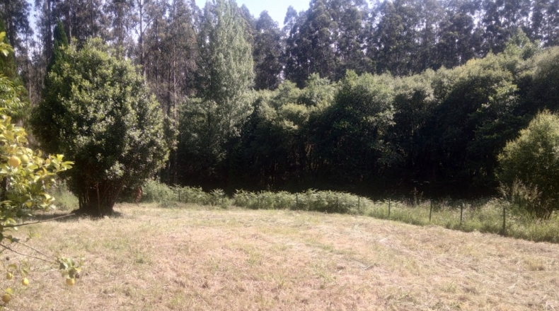 La Corunya - Cedeira - 1416m2