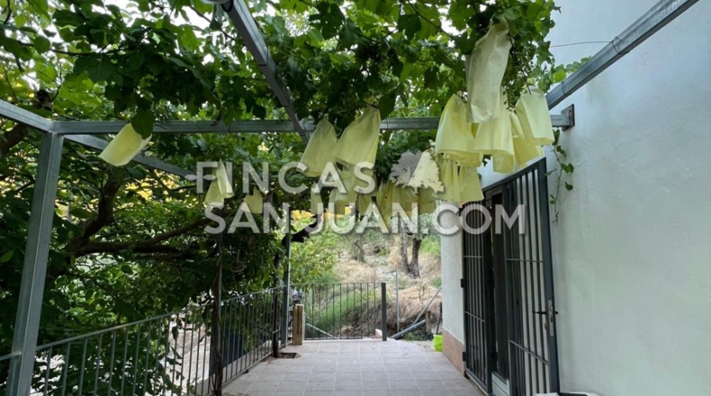 Alicante - Benilloba - 16500m2