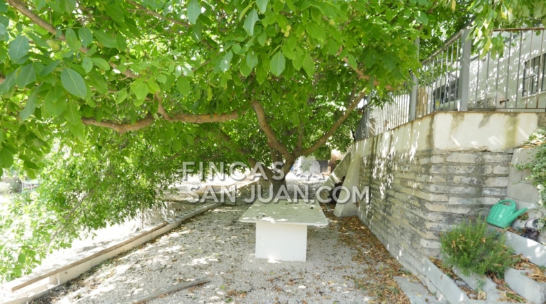Alicante - Benilloba - 16500m2