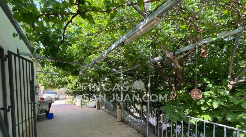 Alicante - Benilloba - 16500m2