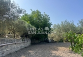 Finca rústica en venta en Benilloba ref: TR256666 foto
