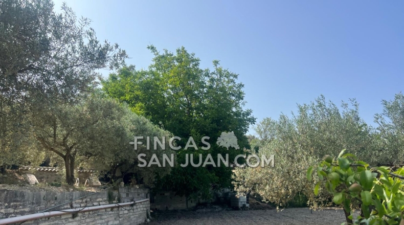 Alicante - Benilloba - 16500m2