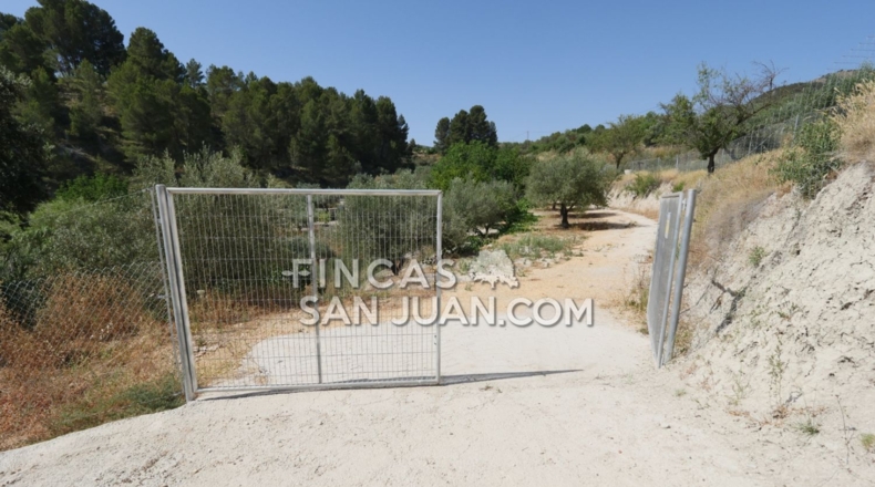 Alicante - Benilloba - 16500m2