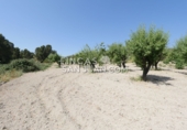 Finca rústica en venta en Benilloba ref: TR256666 foto