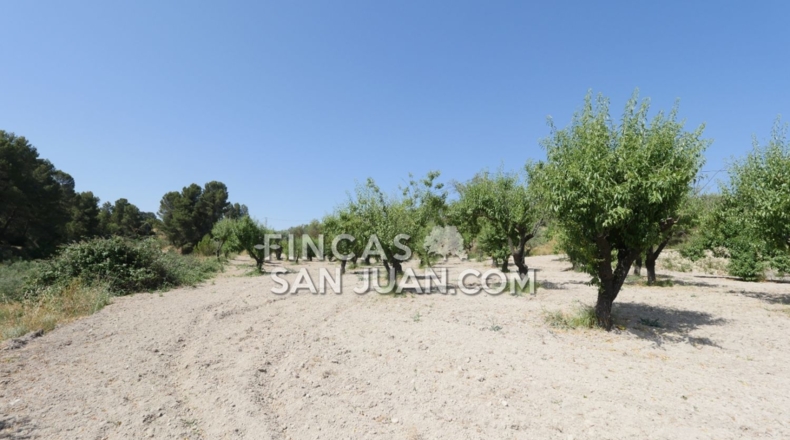 Alicante - Benilloba - 16500m2