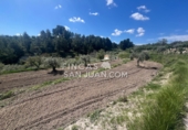 Finca rústica en venta en Benilloba ref: TR256666 foto