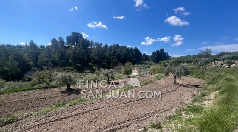 Alicante - Benilloba - 16500m2