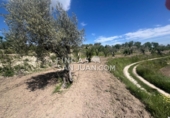 Finca rústica en venta en Benilloba ref: TR256666 foto