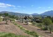 Finca rústica en venta en Benilloba ref: TR256666 foto