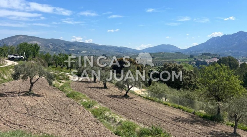 Alicante - Benilloba - 16500m2