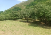 Finca rústica en venta en Posada de Llanes ref: TR415331 foto