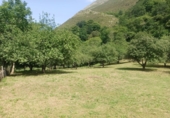 Finca rústica en venta en Posada de Llanes ref: TR415331 foto
