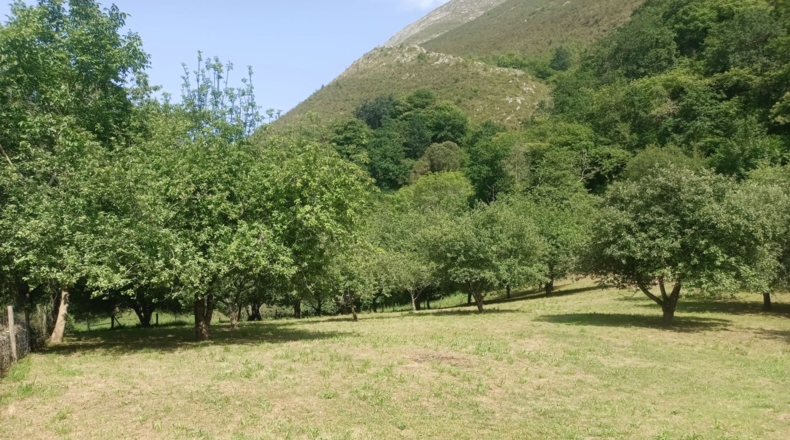Astúries - Posada de Llanes - 5543m2