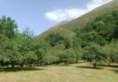 Finca rústica en venta en Posada de Llanes ref: TR415331 foto
