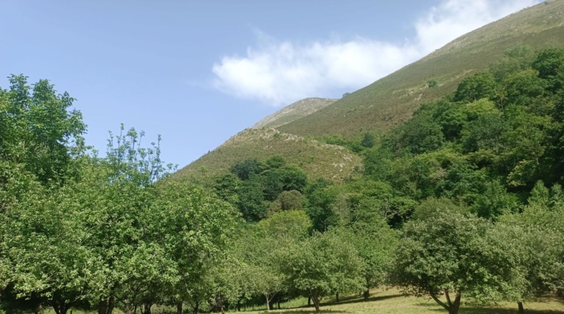 Astúries - Posada de Llanes - 5543m2