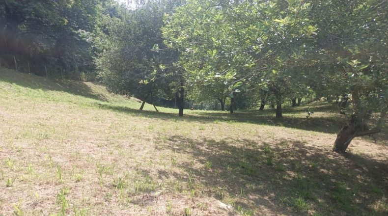 Astúries - Posada de Llanes - 5543m2