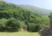Finca rústica en venta en Posada de Llanes ref: TR415331 foto