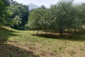 Foto 13