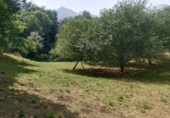 Finca rústica en venta en Posada de Llanes ref: TR415331 foto