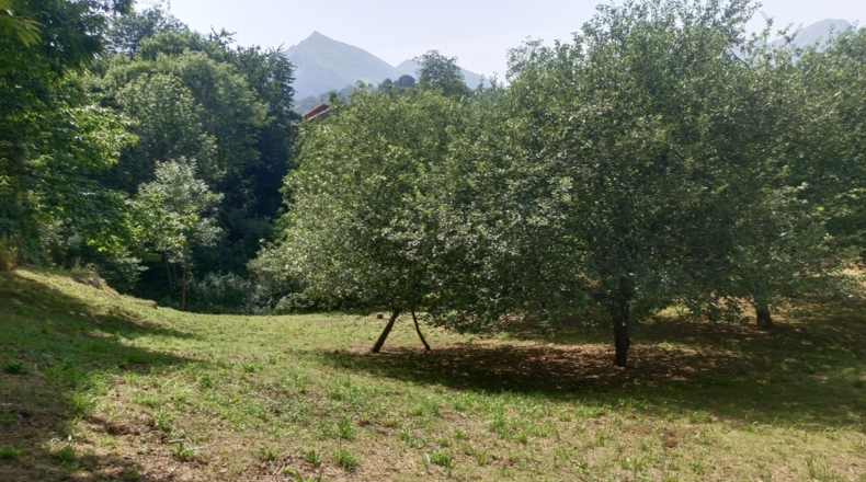Astúries - Posada de Llanes - 5543m2
