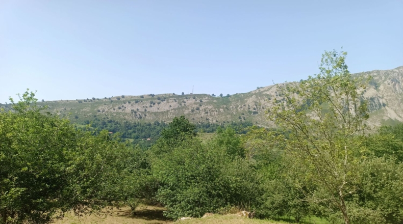 Astúries - Posada de Llanes - 5543m2