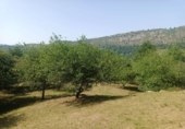 Finca rústica en venta en Posada de Llanes ref: TR415331 foto