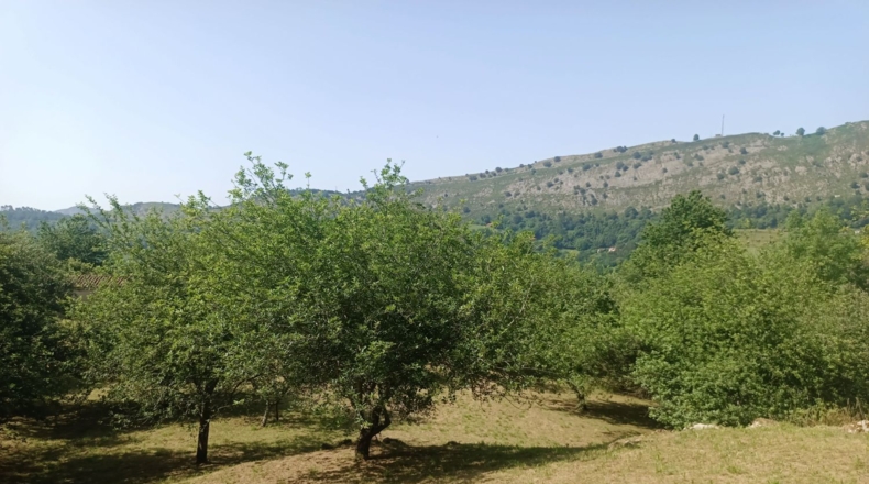 Astúries - Posada de Llanes - 5543m2