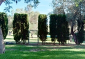Chalet independiente con terreno en alquiler en Mairena del Aljarafe ref: TR393927 foto