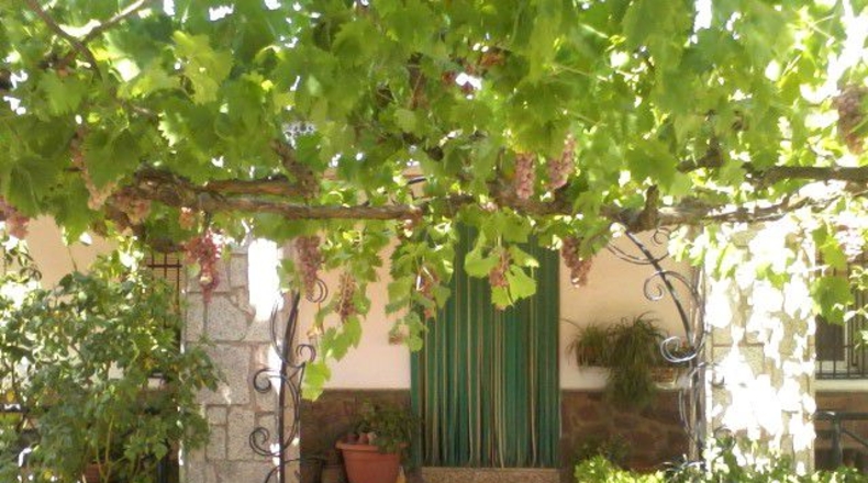 Ciudad Real - Tomelloso - 258m2
