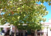 Casa de campo con terreno en venta en Tomelloso ref: TR415338 foto