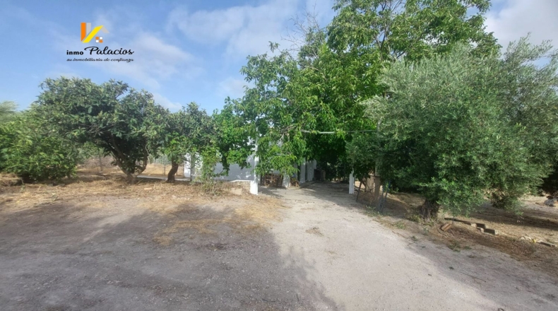 Jaén - Quesada - 84m2