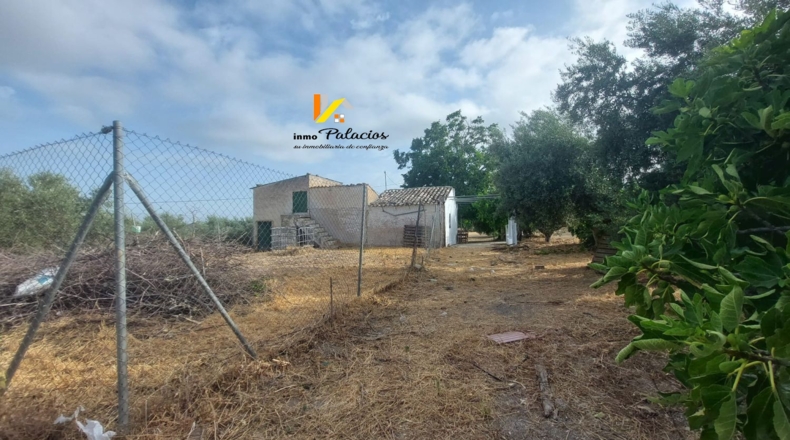 Jaén - Quesada - 84m2