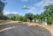 Terreno no urbanizable en venta en Quesada ref: TR415343 foto