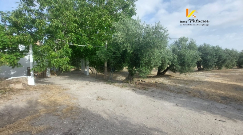 Jaén - Quesada - 84m2