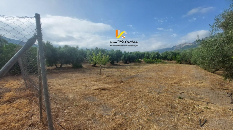 Jaén - Quesada - 84m2