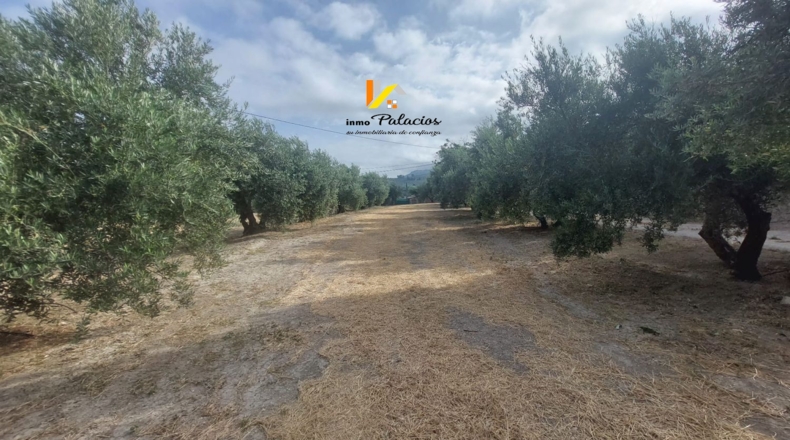Jaén - Quesada - 84m2
