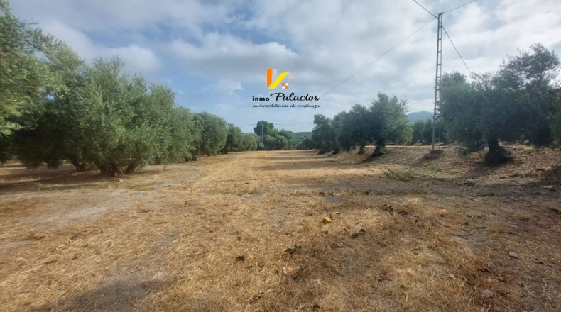 Jaén - Quesada - 84m2