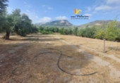 Terreno no urbanizable en venta en Quesada ref: TR415343 foto