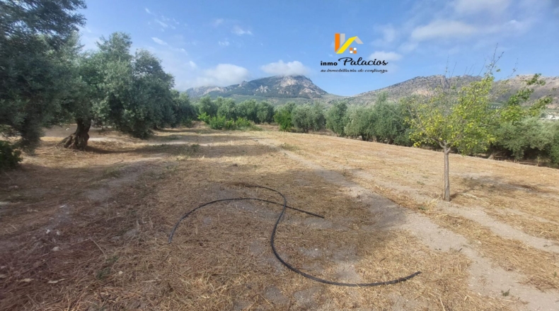 Jaén - Quesada - 84m2