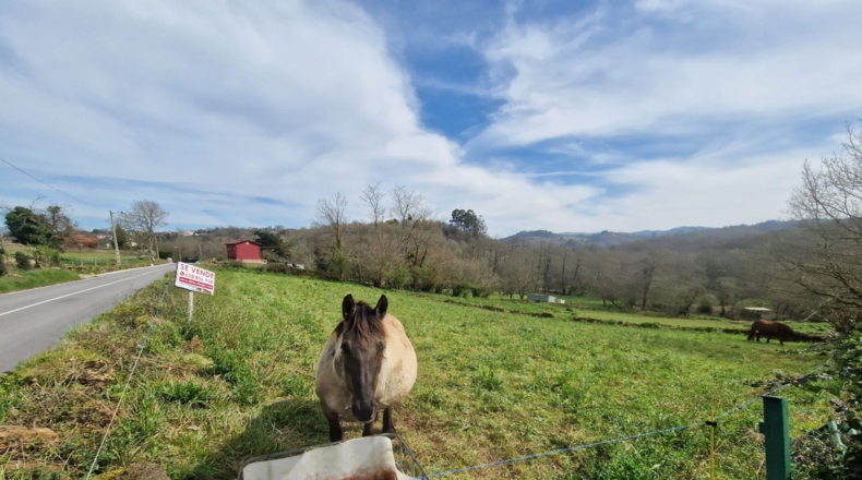 Astúries - Pola de Siero - 1800m2