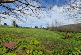 Pola de Siero 1800&nbsp;m² 