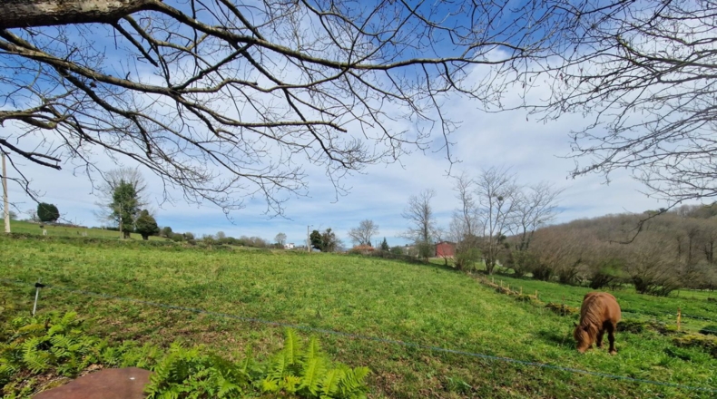 Astúries - Pola de Siero - 1800m2