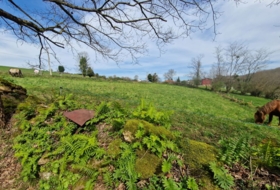 Pola de Siero 1800&nbsp;m² 