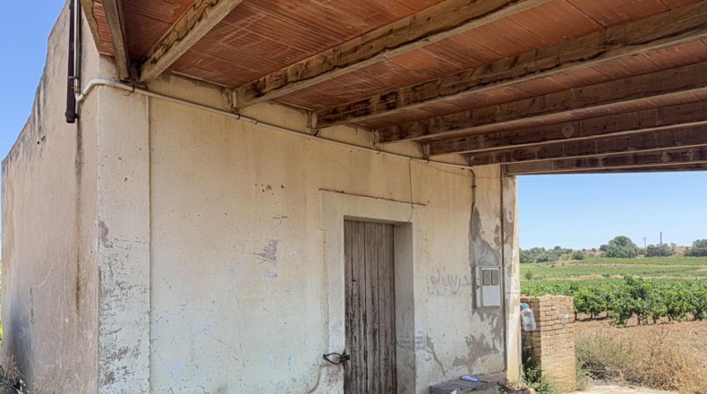 Tarragona - Banyeres del Penedès - 55000m2