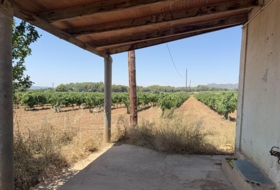 Banyeres del Penedès 55000&nbsp;m²