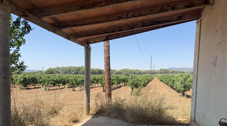 Tarragona - Banyeres del Penedès - 55000m2